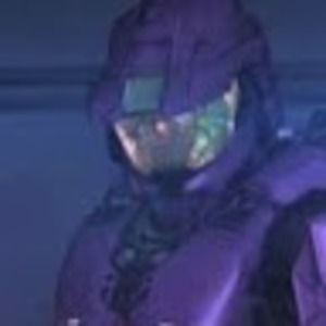 Meet your Posher, Kallie